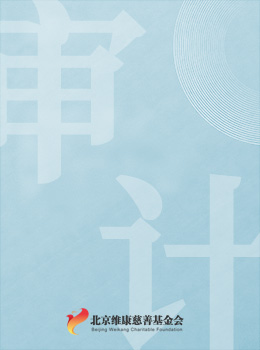 北京维康慈善基金会2019年审计报告